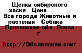 Щенки сибирского хаски › Цена ­ 12 000 - Все города Животные и растения » Собаки   . Пензенская обл.,Пенза г.